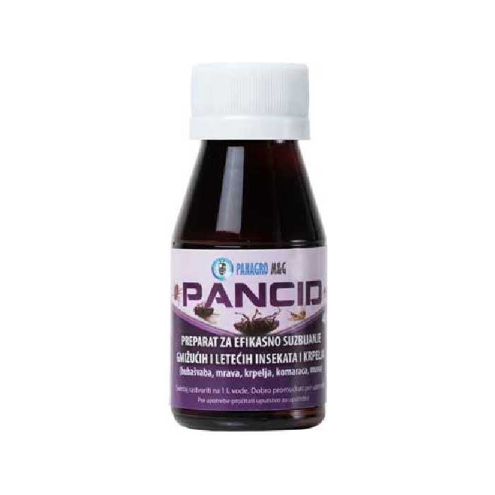 Pancid